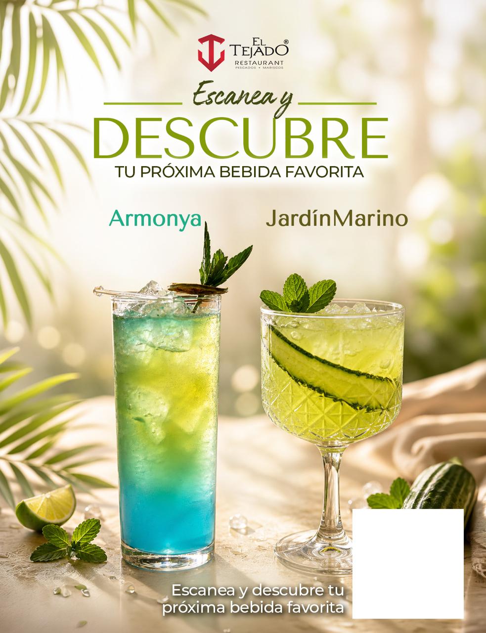 Bebidas El Tejado